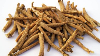 Somnifera bitkisiyle. Ashwagandha (Kış kirazı), Ayurved 'de kullanılan önemli bir şifalı bitkidir. Hint ginsengi otları, kanaje, zehirli bektaşi üzümü. Sağlık Hizmetleri