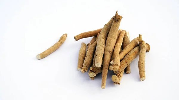 stock image Ashwagandha Fresh Green Leaves on the Stem, Medicinal Herb Plant, also known as Withania Somnifera, Ashwagandha, Indian Ginseng, Poison Gooseberry, or Winter Cherry.