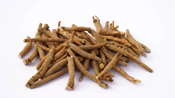 stock image Immunity booster plant, Withania somnifera, known commonly as ashwagandha Its roots and orange-red fruit have been used for hundreds of years for medicinal purposes