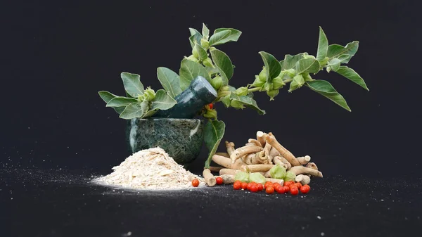 Ashwagandha Kuru Kök Şifalı Bitki ve Taze Yapraklar, Withania Somnifera, Ashwagandha, Indian Ginseng, Poison Gooseberry, veya Winter Cherry olarak da bilinir. Beyaz Arkaplanda İzole Edilmiş.
