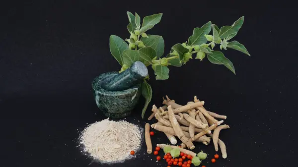 Withania somnifera, genellikle ashwagandha, Hint ginsengi, zehirli Bektaşi üzümü ya da kış kirazı olarak bilinir..