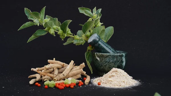 Ashwagandha Kuru Kök Şifalı Bitki ve Taze Yapraklar, Withania Somnifera, Ashwagandha, Indian Ginseng, Poison Gooseberry, veya Winter Cherry olarak da bilinir. Beyaz Arkaplanda İzole Edilmiş.