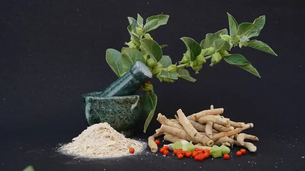 Withania somnifera, genellikle ashwagandha, Hint ginsengi, zehirli Bektaşi üzümü ya da kış kirazı olarak bilinir..