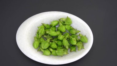 Ayurvedic bitkisi Gökhru. Tribulus terrestris, toprak sarmaşıkları, iğne sarmaşığı, Gokhru bitkilerindeki yabani dikenli meyveler. Gökhru ya da Gokharu bitkisinin ilaç fabrikası