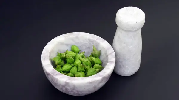 Ayurvedic bitkisi Gökhru. Tribulus terrestris, toprak sarmaşıkları, iğne sarmaşığı, Gokhru bitkilerindeki yabani dikenli meyveler. Gökhru ya da Gokharu bitkisinin ilaç fabrikası
