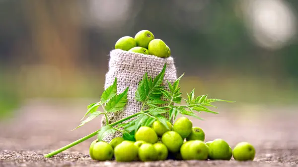 Neem çubuklu ve neem yapraklı meyveler. Neem mükemmel bir nemlendiricidir ve böcek öldürücü ve tıbbi özellikleri olan çeşitli bileşikler içerir..