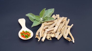 Bağışıklık güçlendirici bitki Withania somnifera, Ashwagandha olarak da bilinir kökleri ve portakal kırmızısı meyveleri yüzlerce yıldır tıbbi amaçlar için kullanılmaktadır.