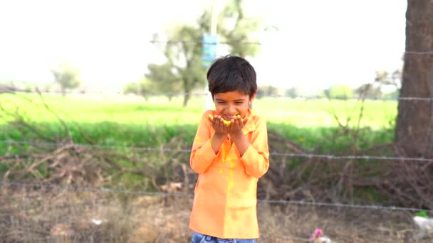 Záběry Šťastného Indiánského Kluka Hrajícího Barvy Usmívajícího Barvami Tváři — Stock video