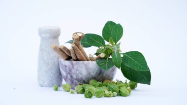 Somnifera bitkisiyle. Ashwagandha (Kış kirazı), Ayurved 'de kullanılan önemli bir şifalı bitkidir. Hint ginsengi otları, kanaje, zehirli bektaşi üzümü. Sağlık Hizmetleri