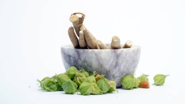 Withania somnifera, genellikle ashwagandha, Hint ginsengi, zehirli Bektaşi üzümü ya da kış kirazı olarak bilinir..