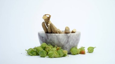 Withania somnifera, genellikle ashwagandha, Hint ginsengi, zehirli Bektaşi üzümü ya da kış kirazı olarak bilinir..