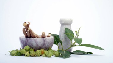 Ashwagandha Taze Yeşil Yaprakları Kök, İlaç Bitkisi, Withania Somnifera, Ashwagandha, Indian Ginseng, Poison Gooseberry, veya Winter Cherry olarak da bilinir..