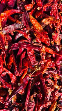 Chili biberi izole edilmiş. Beyaz arka planda kırmızı biberli üst görünüm. Kırmızı acılı biberin üstünü de kes. kırpma yolu ile.