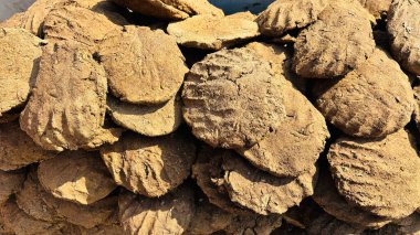 İnek gübresi kekleri halk arasında 