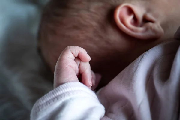 新生児の手 ピンクのジャケット — ストック写真