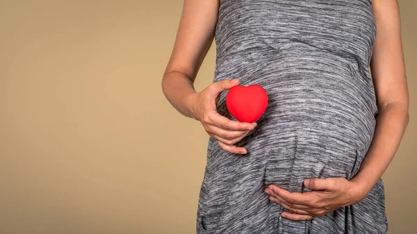 Hamile Bir Kadın Aile Aşk Kadın Sağlığı Konsepti Boşluğu Kopyala — Stok fotoğraf