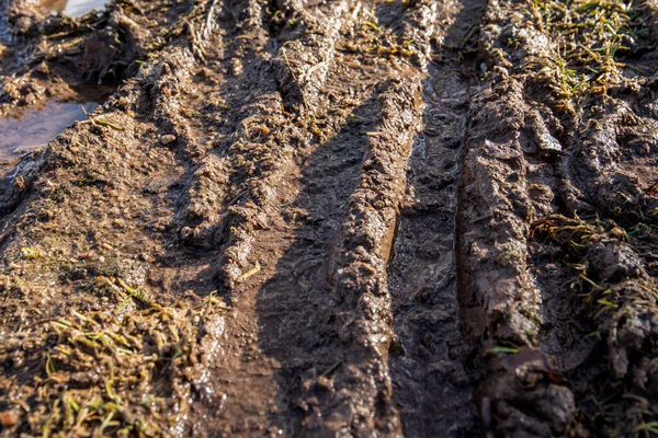 解凍と泥 春の砂利道 — ストック写真