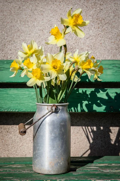 金属牛奶中的蜡可以闭合 春天的花可以开放 — 图库照片