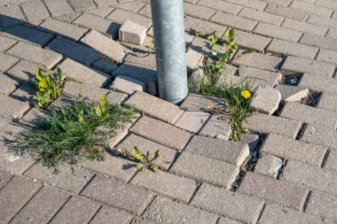 Hasarlı kaldırım ve metal yol direği. Güneşli bir gün.