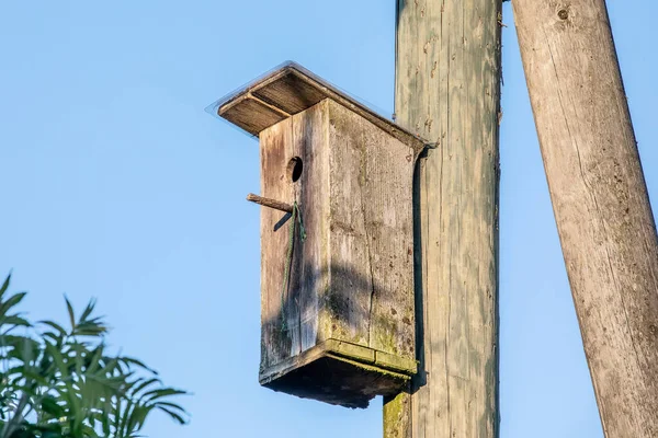 Velha Casa Pássaros Madeira Poste Eletricidade Dia Ensolarado — Fotografia de Stock