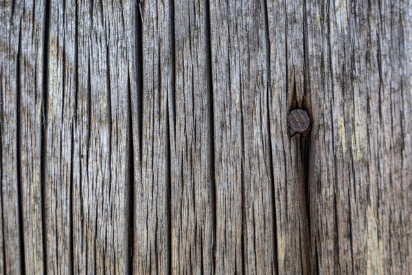 Old Wood Texture Background Rusty Nail — Stock Photo, Image