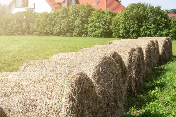Straw Stack Field Harvest — Stock Photo, Image