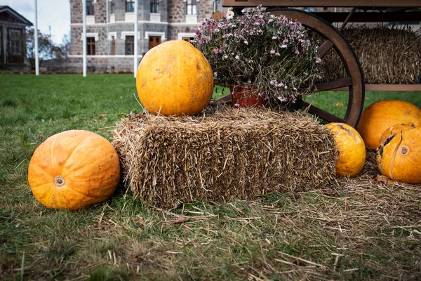 Hay Bales Pumpkins Horse Cart Country Style Decorations Halloween — Stock Photo, Image