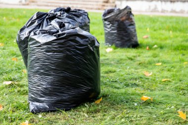 Çöp torbaları için yığını çıkar. İlkbahar ve sonbahar aylarında Şehir Parkı kadar temiz.