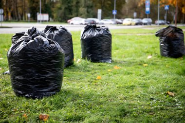Çöp torbaları için yığını çıkar. İlkbahar ve sonbahar aylarında Şehir Parkı kadar temiz.