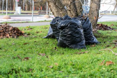 Çöp torbası, siyah plastik çöp torbası. İlkbahar ve sonbaharda şehir parkını temizle..