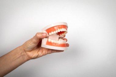 Beyaz arka planda diş izi var. Diş sağlığı için bir çizim. Metin için boş alan.