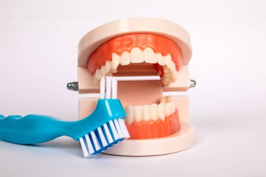 Beyaz arka planda diş fırçası ve diş izi var. Diş fırçalama ve sağlık konsepti.