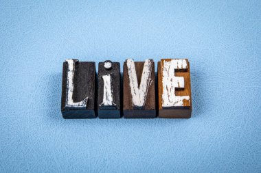 Yaşa. Mavi desenli arkaplanda tahta alfabe harf blokları.