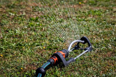 Su püskürtücüsünden çimleri sularken, su püskürtücüleri kapanır..