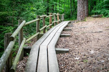 Ormanda ahşap yol, turizm ve doğada dinlenme..