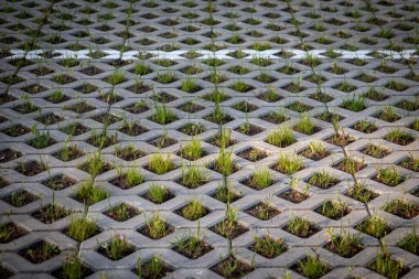 Sokak inşaatı, kaldırım ve çimenler için tasarım çözümü.