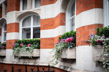 Pencere pervazında güzel çiçekler olan beton bir saksı. Kırmızı tuğla cephe.