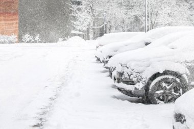 Otoparktaki arabalar kalın bir kar tabakasıyla kaplanmış ve tozlanmıştı..