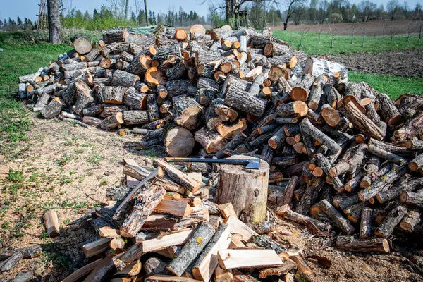 Kırsal Yard 'da Yığınla Odun ve Önplanda Kırık Tahta Yığını.