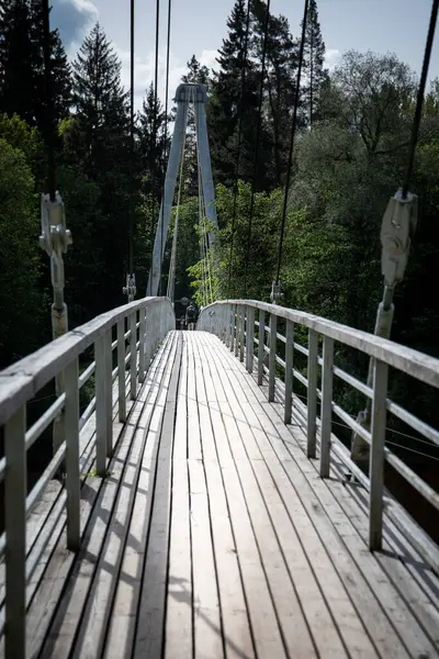 Doğal Işıkta Tahta Planklar ve Çelik Kablolar ile Ormandaki Askıya Alınan Köprü..