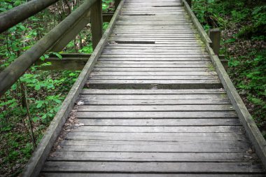 Ormandaki Eski Tahta Köprü Yürüyüş Yolu 'ndaki Hasarlı Planklar.