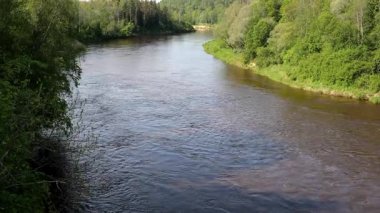 Sakin yüzeyi ve Yaz Işığı ile Yeşil Orman Manzarası İçinden Akan Nehir