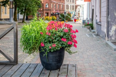 Yaya kaldırımındaki renkli saksı saksısı.
