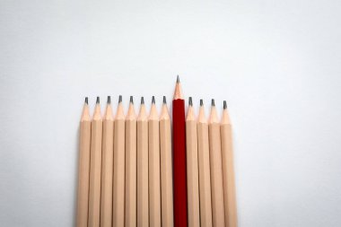 Kalabalıktan Dikkat Çekmek. Kırmızı Kalem Liderliği ve Eşsizliği Sembolize ediyor.