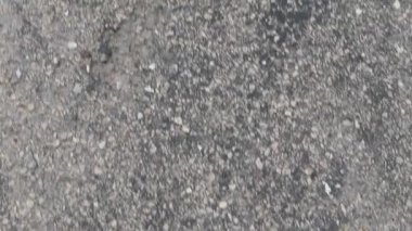 Asfalt yüzeyi ciddi şekilde çatlamış. Yol hasarı ve asfalt aşınması gösteriyor.