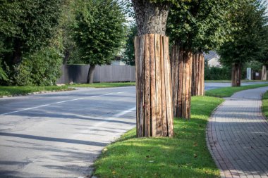 Tahta tahtalarla korunan ağaçlarla yaklaşan yol yapımına hazırlık, kentsel planlama, çevre koruma ve altyapı süresince doğayı koruma amaçlı güvenlik tedbirlerini gösteriyor