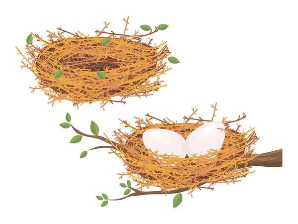 Мультфильм Пустое Птичье Гнездо Коричневое Деревянное Строение Гнездо Яйцо Птичий — стоковый вектор