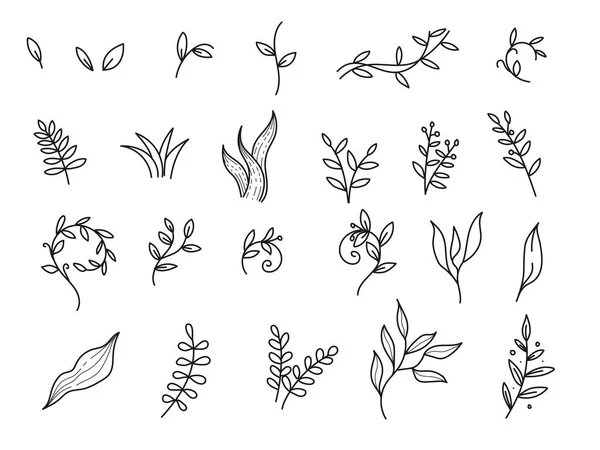 Handgezeichnete Blätter Florale Illustrationen Sammlung Auf Weißem Hintergrund — Stockvektor