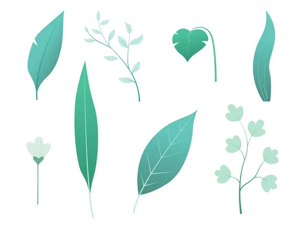 花の要素のセット 花と緑の葉 — ストックベクタ