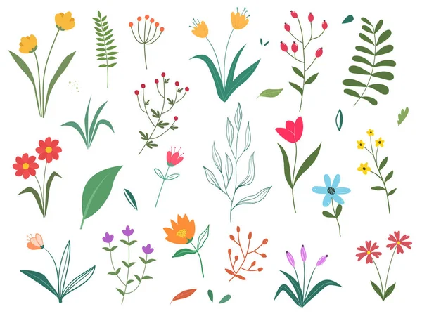 花のコレクション 花のデザイン要素のセット — ストックベクタ